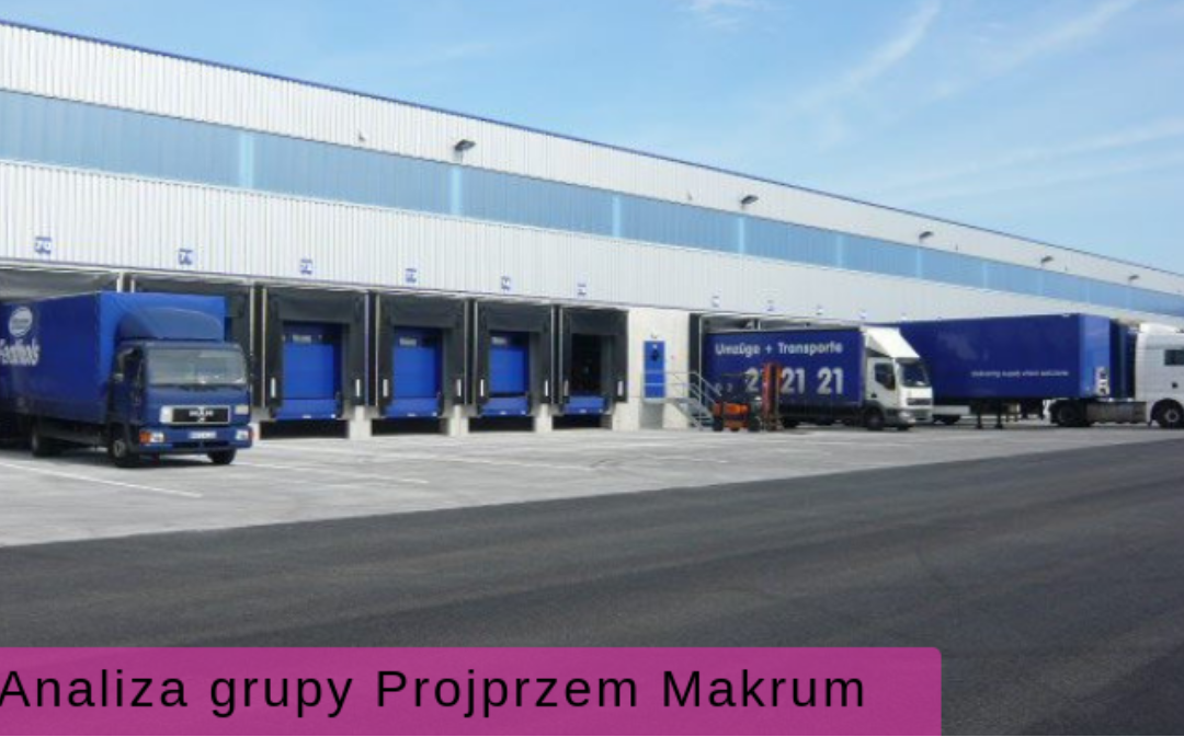 Discussion of the results of the Projprzem Makrum Group on the Analysis Portal